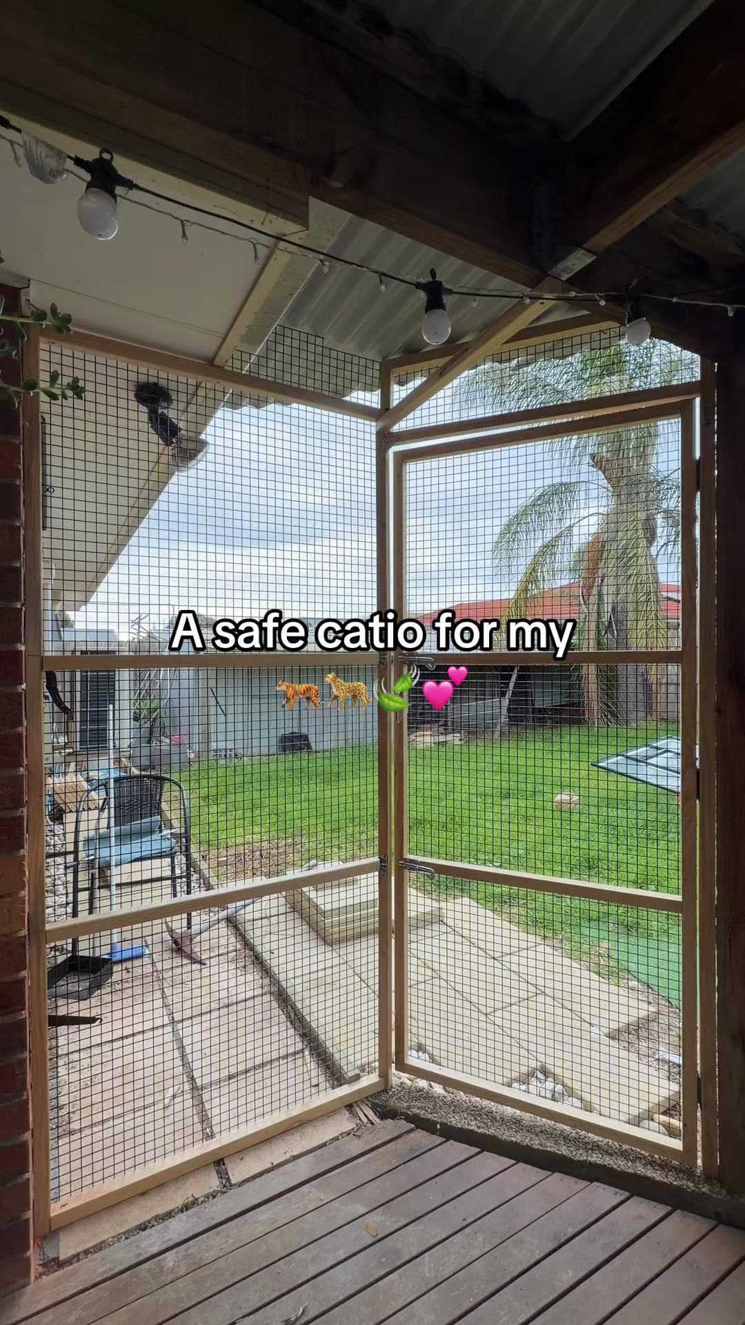 @Backyard Catio Builder