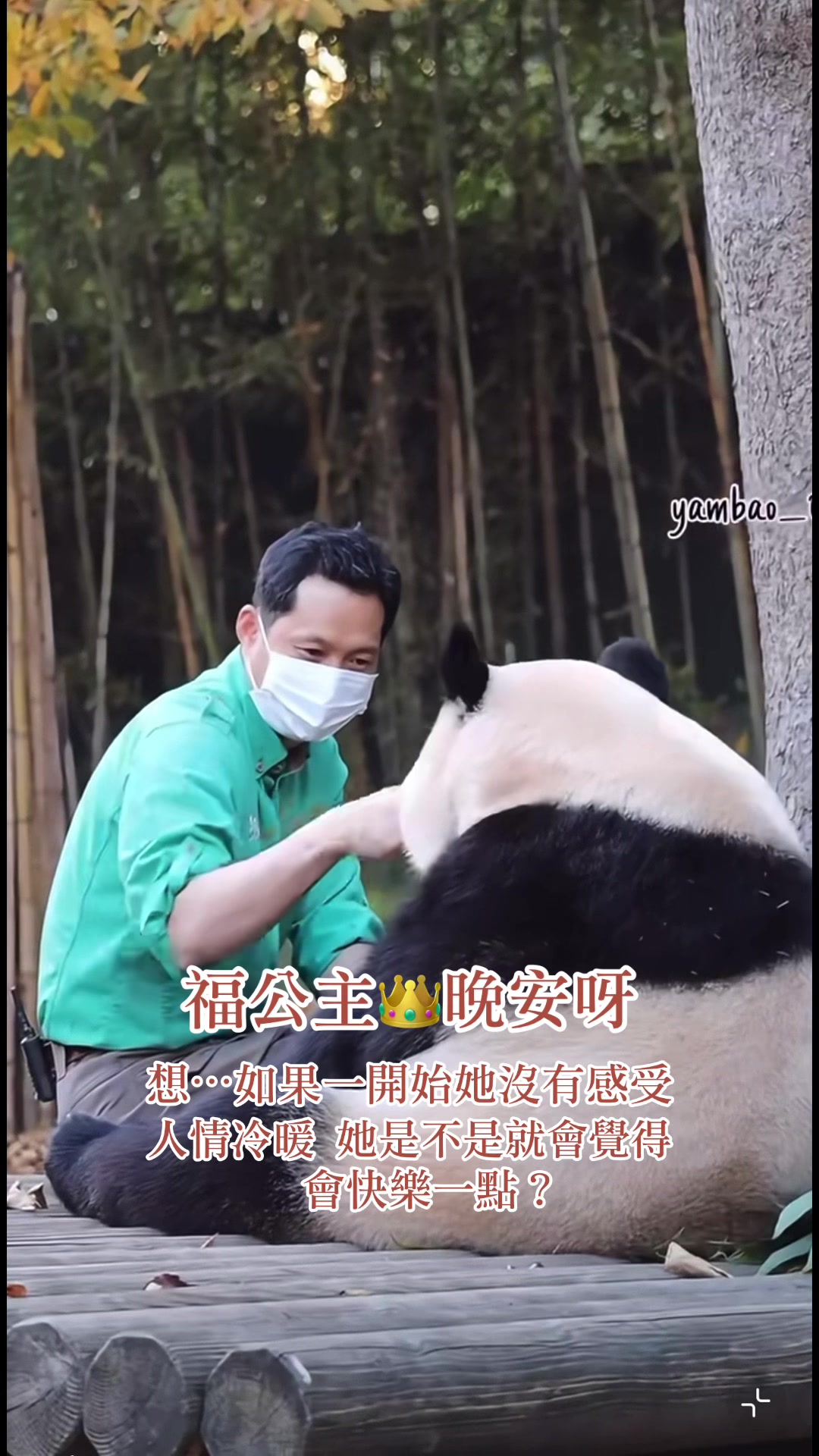 @福公主💕福豬豬💕 🍎 🥕 🐼 🎋🍀