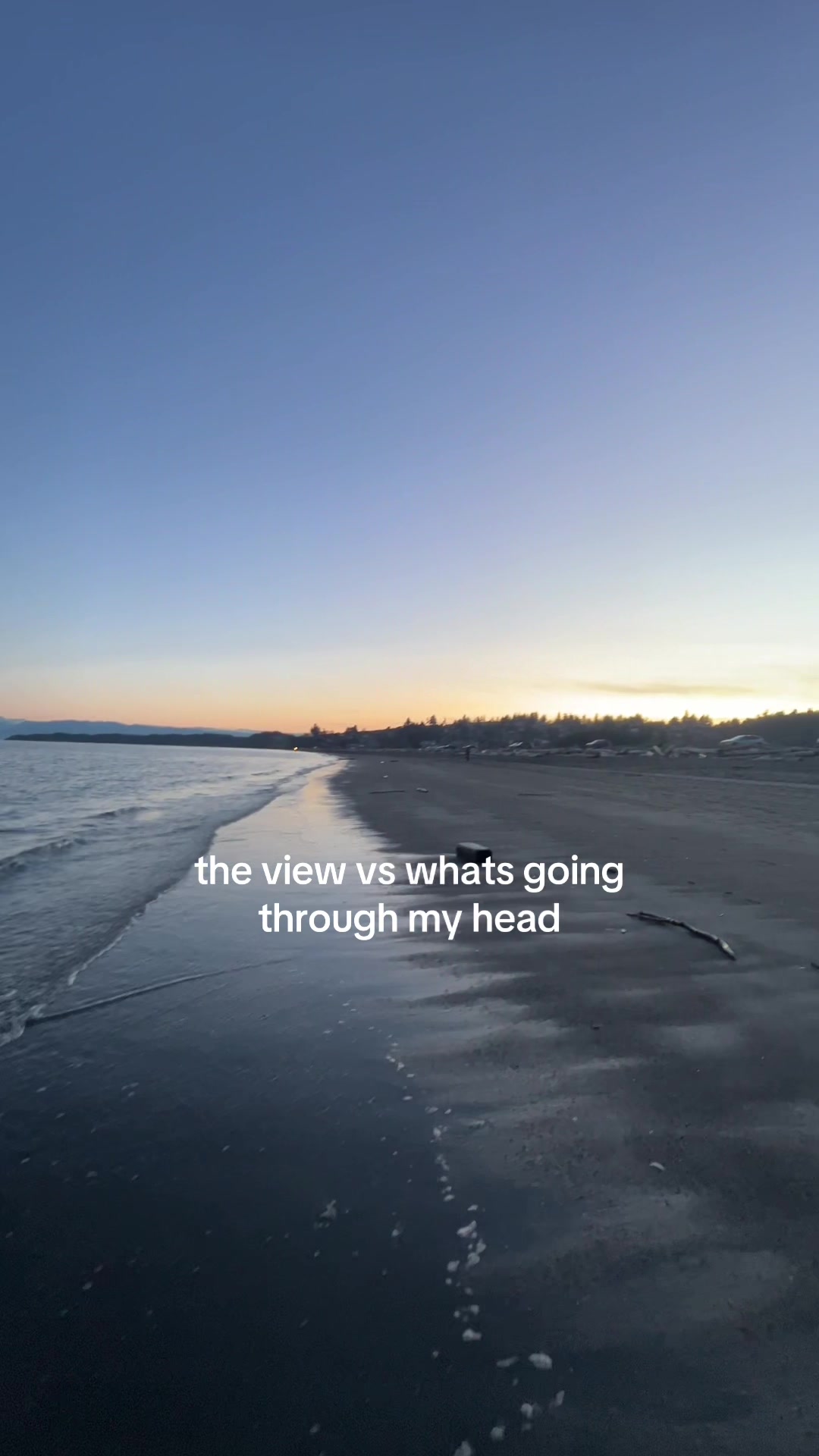 @bee 🇨🇦