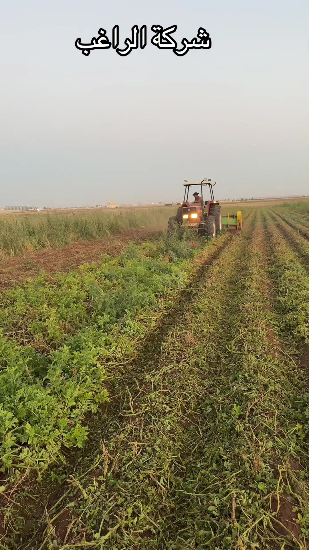 @شركةالراغب لتجارة الجرارات 🚜