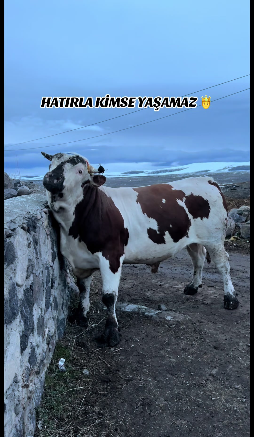 @𝑨𝑹𝑫𝑨  𝑨𝑳İ𝑶Ğ𝑳𝑼