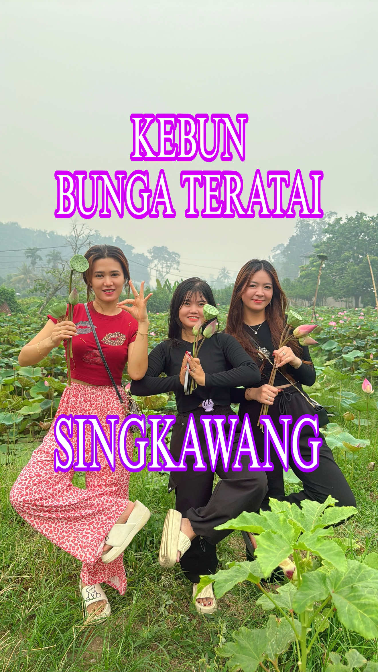 @Kota Amoy