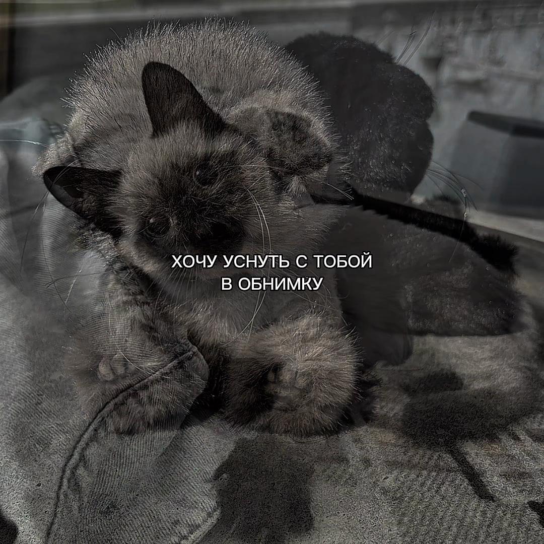 @ХХИКА