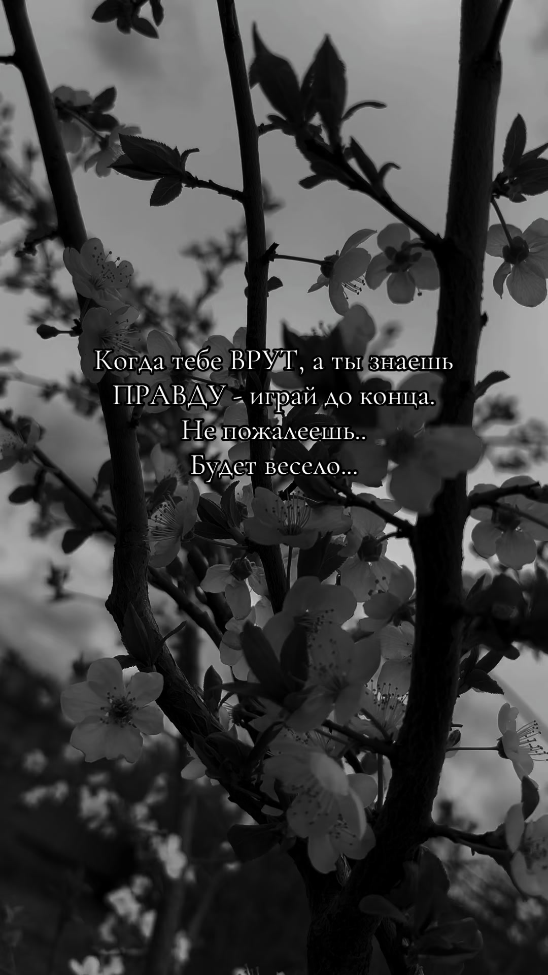 @Вячеславовна
