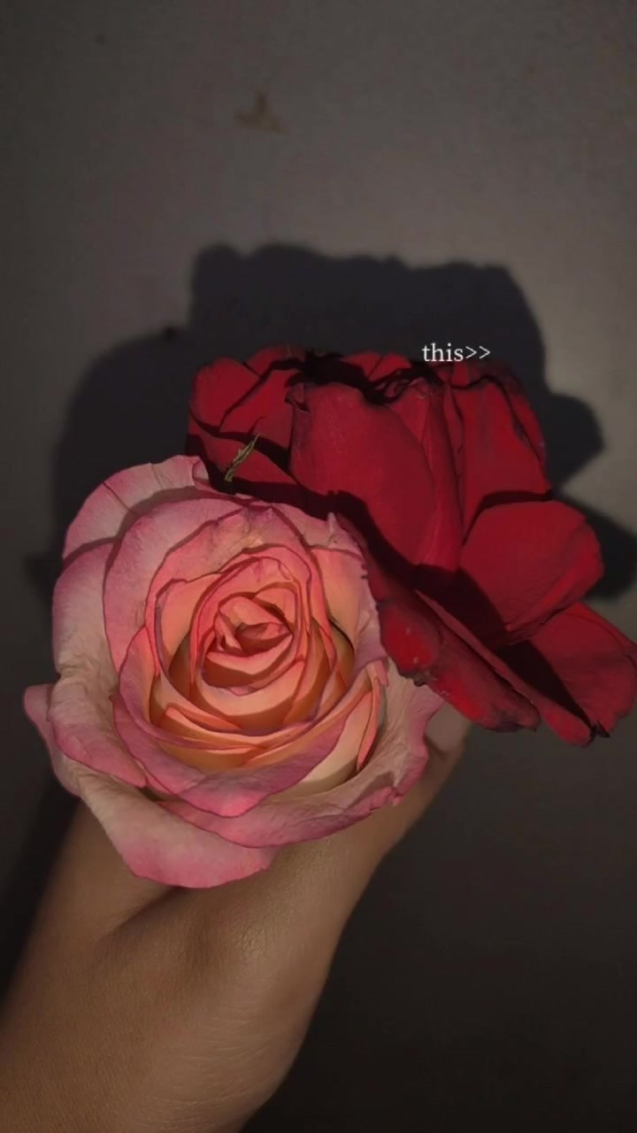 @ʟᴜʙɴᴀ ᴡᴀsᴇᴇᴍ☠️