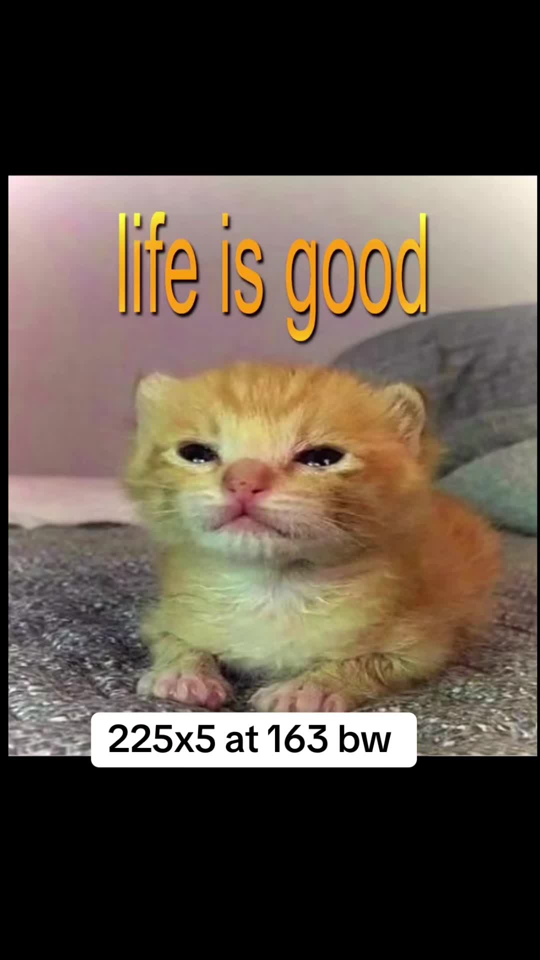 @bo