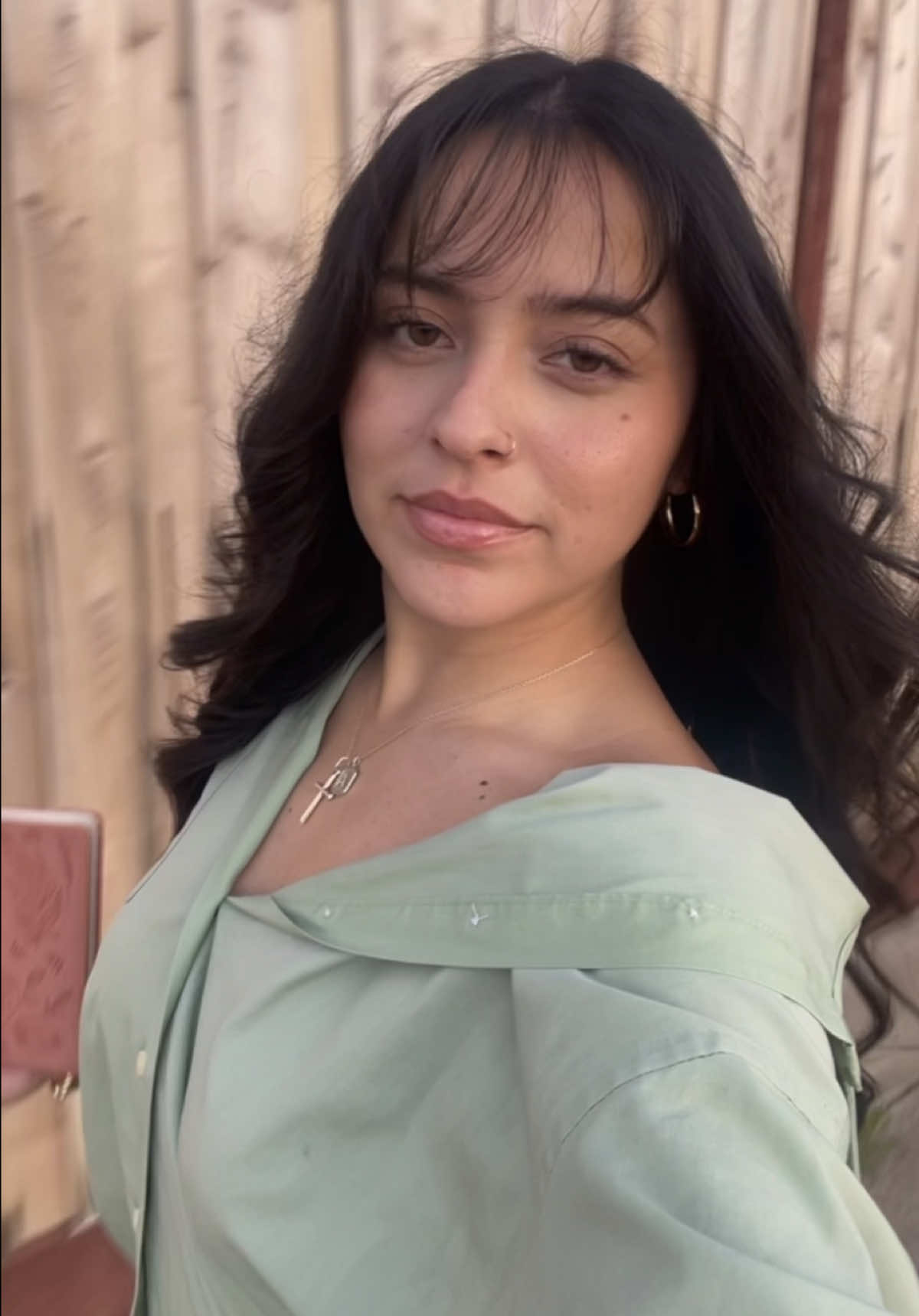 @aneesaharroyo