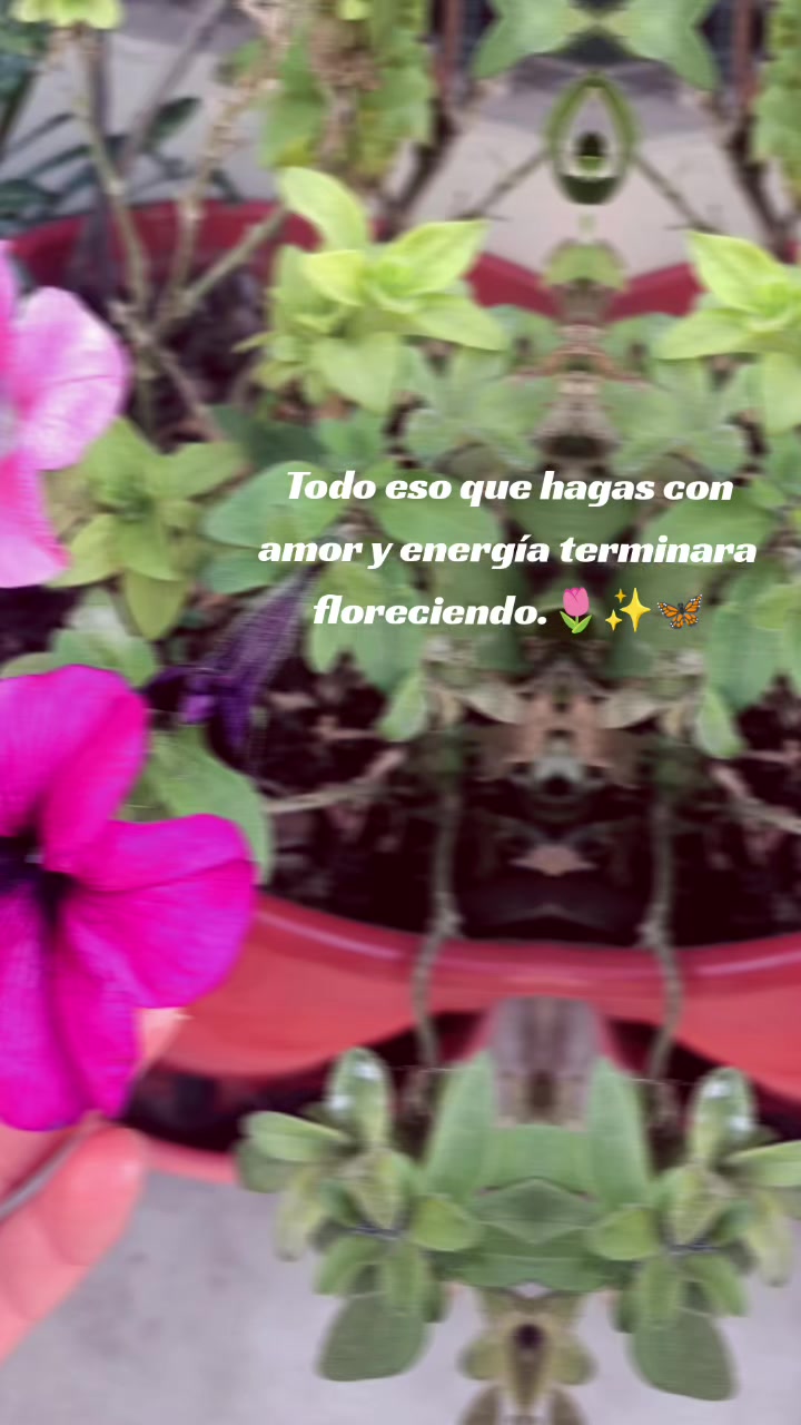 @Milagros