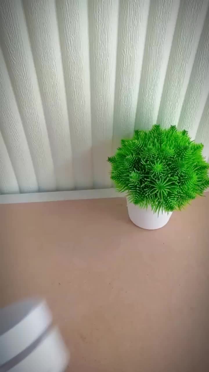 @๐จ๐๐๐๐ฅ๐_๐น๐๐๐ค๐