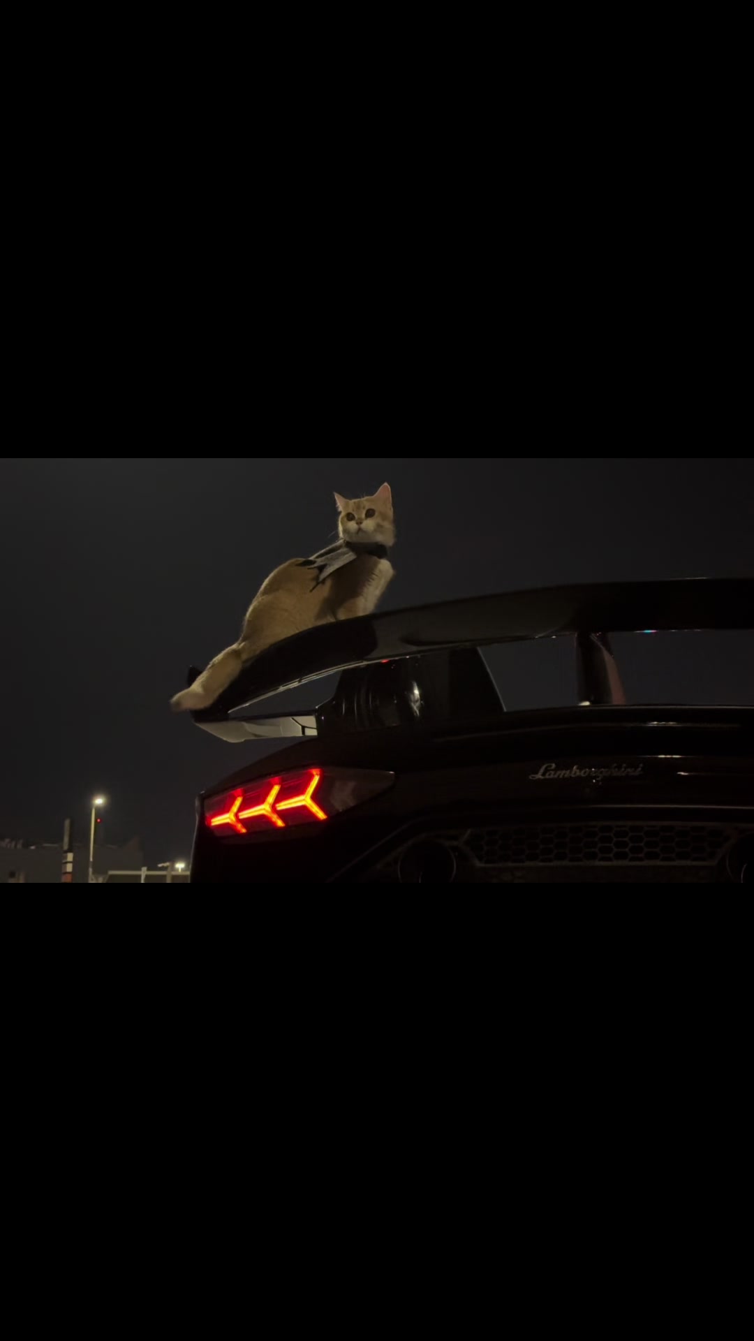 @brz