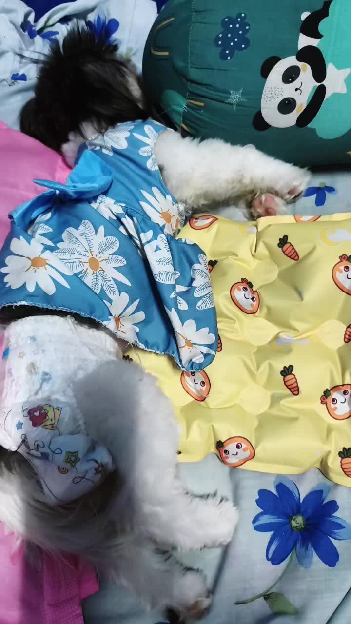 @Veeaura
