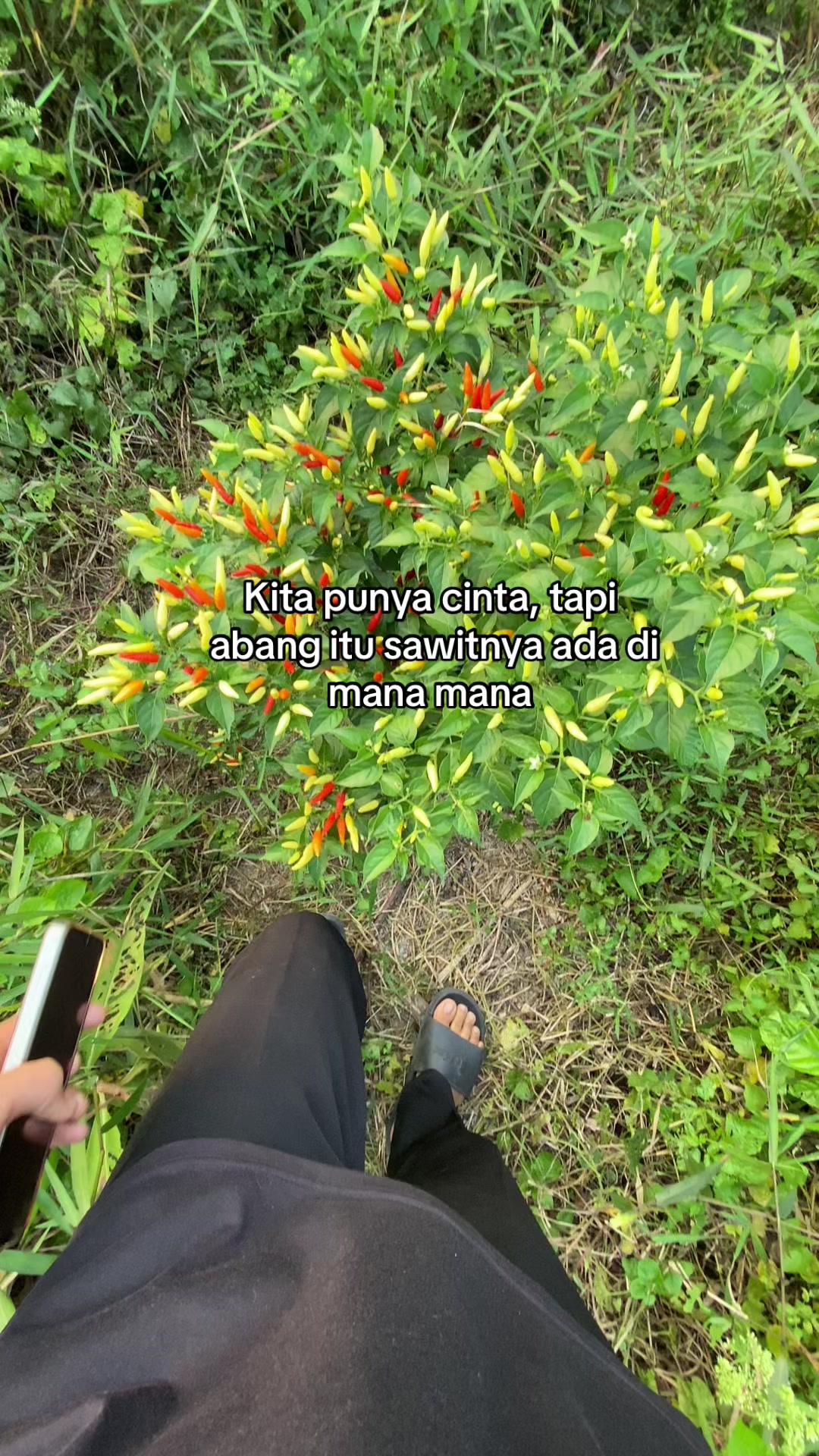 @denka