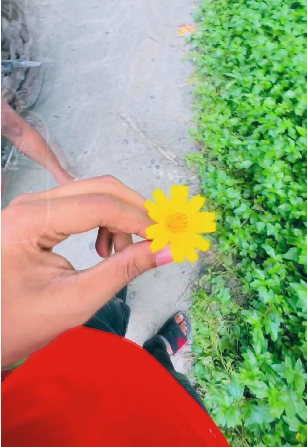 @🌪️ᴊᴇsꫝɴ🧃