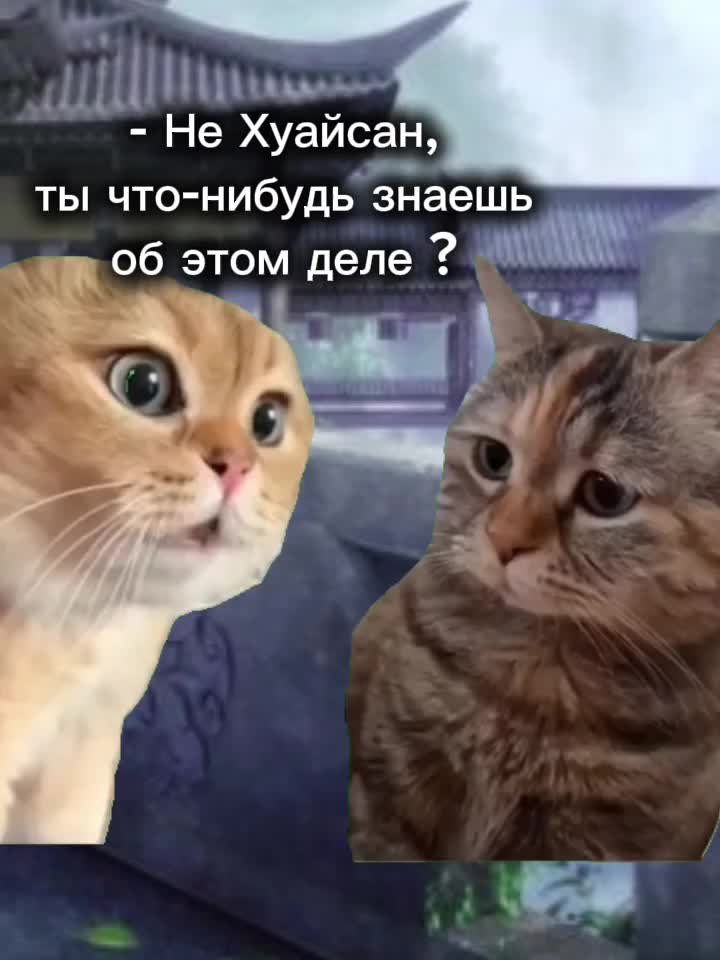 @Цинсюань