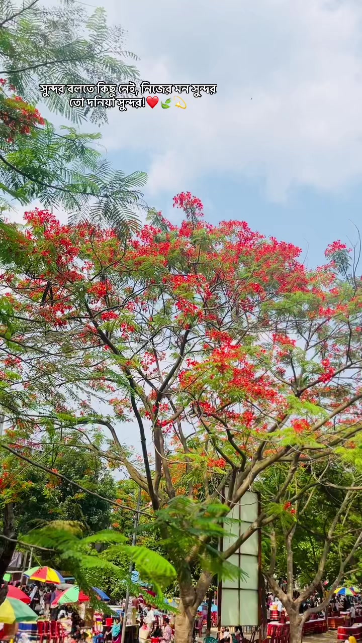 @Mahiii_🧚♀️