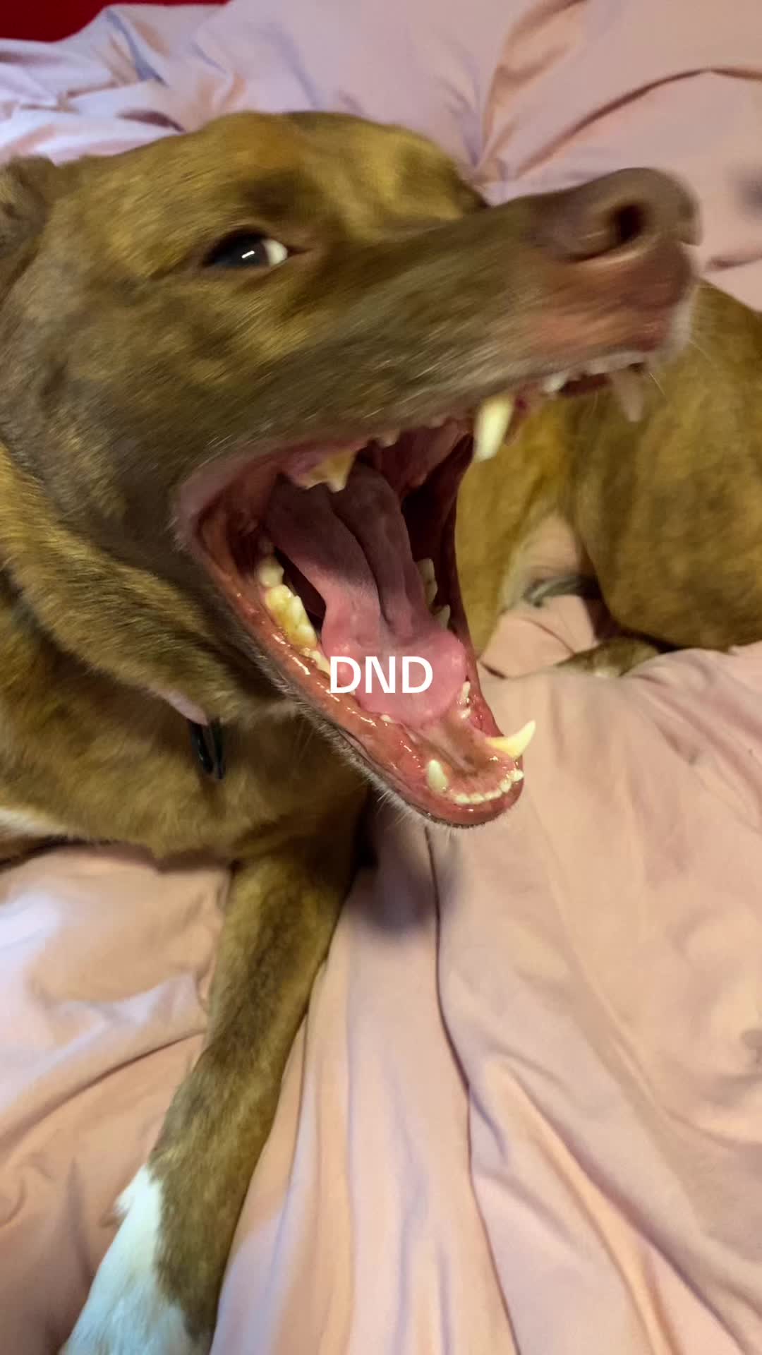 @💖