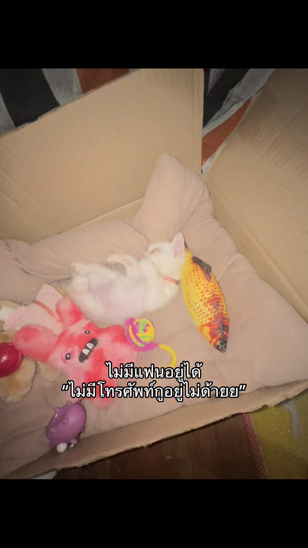 @🩶กรีน🖤