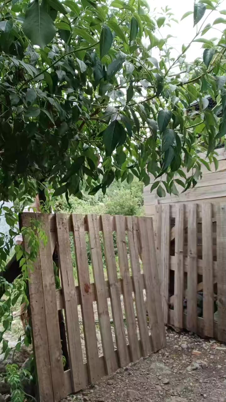 @𝓓𝓲𝓪𝓷𝓪🐛🦋