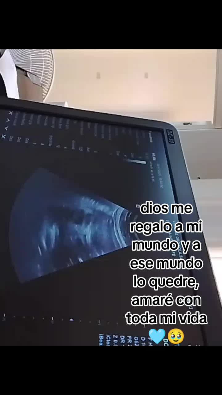 @sarita vasquez