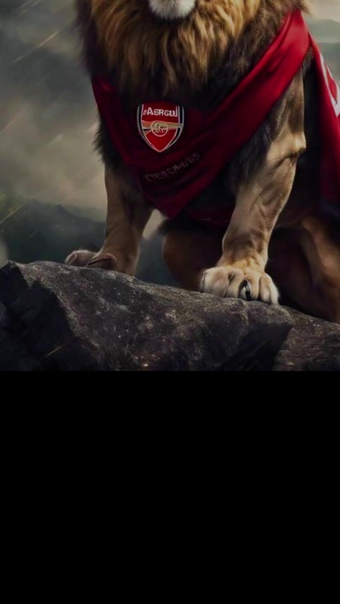 @Arsenal Secretary🇬🇧