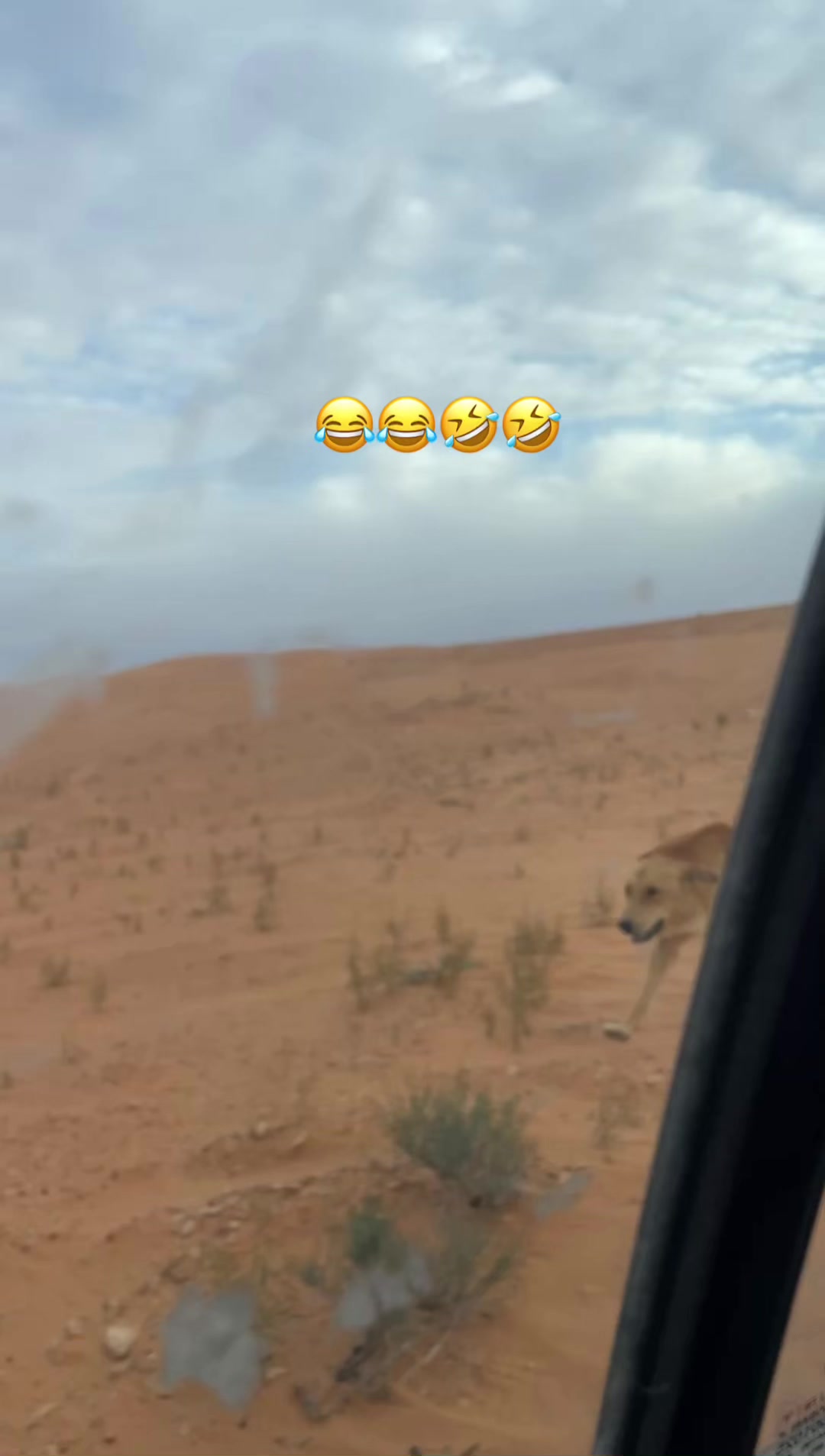 @🔥احمدالازهري الزنتاني 🔥