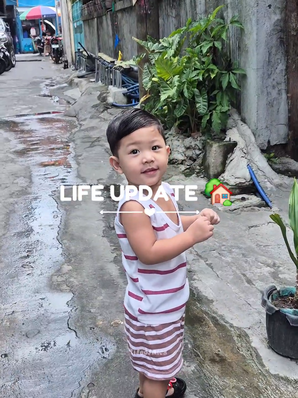 @Life of Mica ᥫ᭡