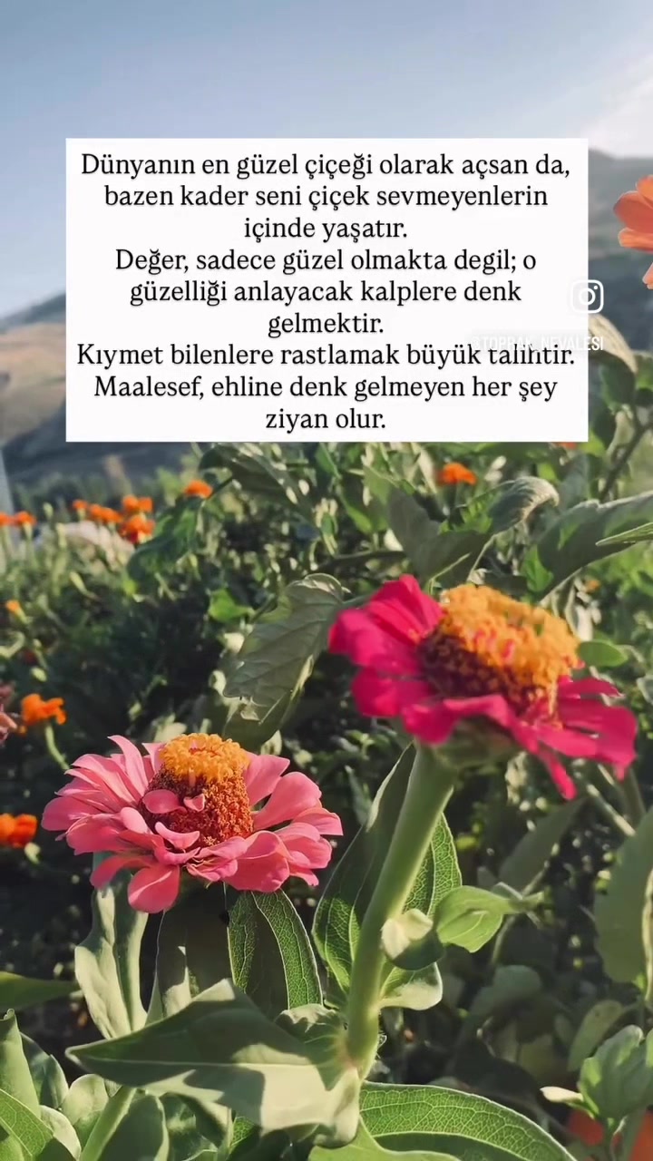 @toprak_nevalesi