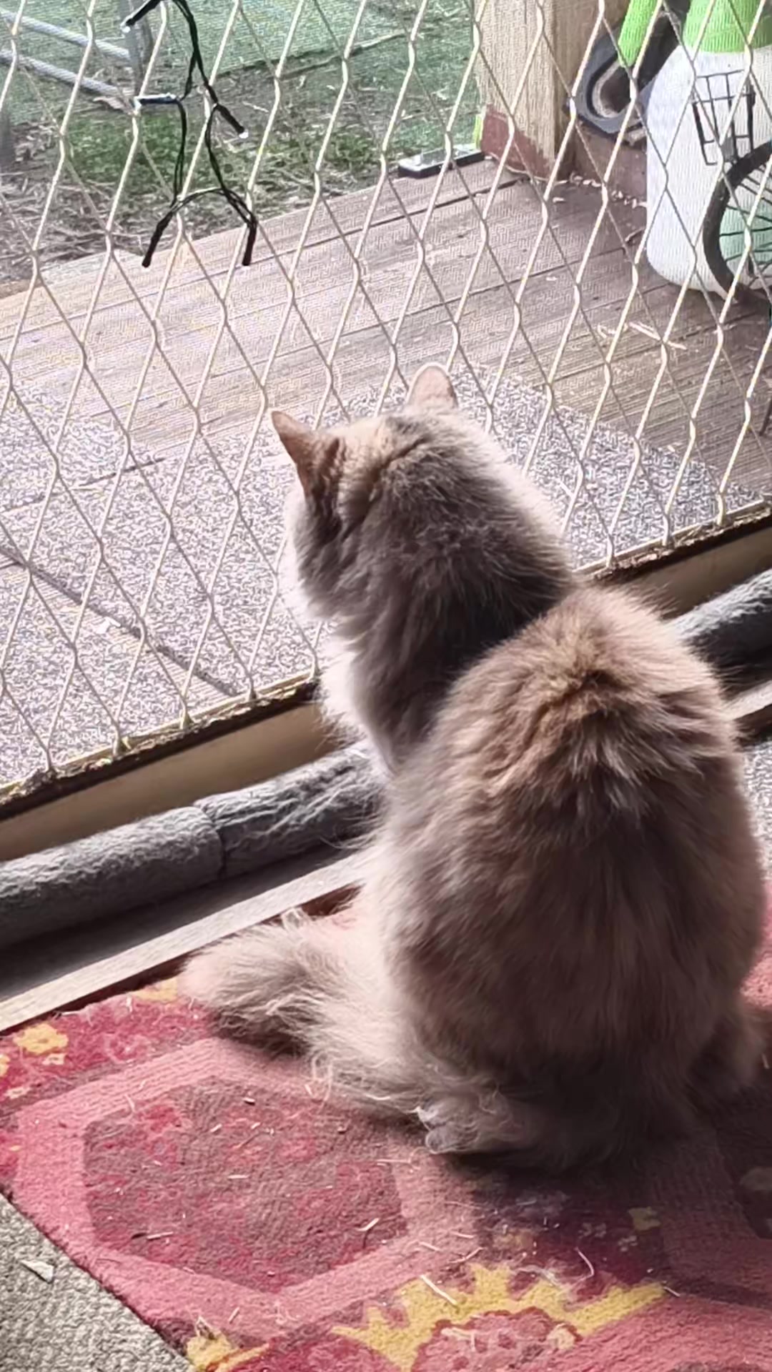@tink.67❌