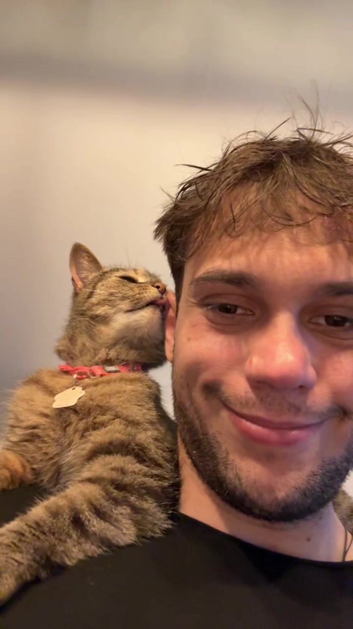 @Bellarda the cat