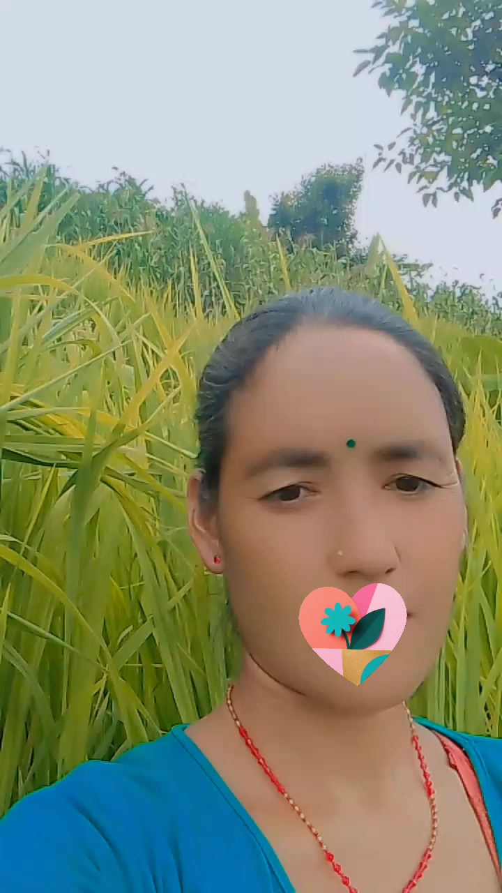 @chandrika k c
