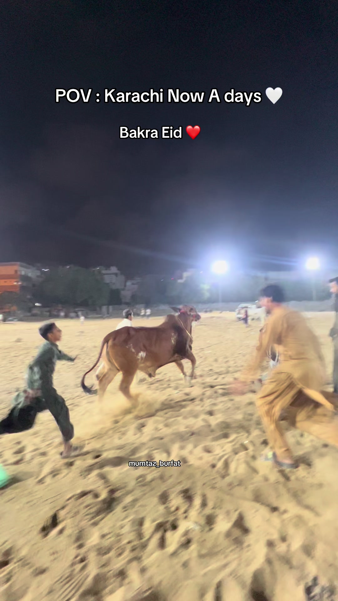 @Mumtaz Burfat 🤍🦋❤️✨🍂