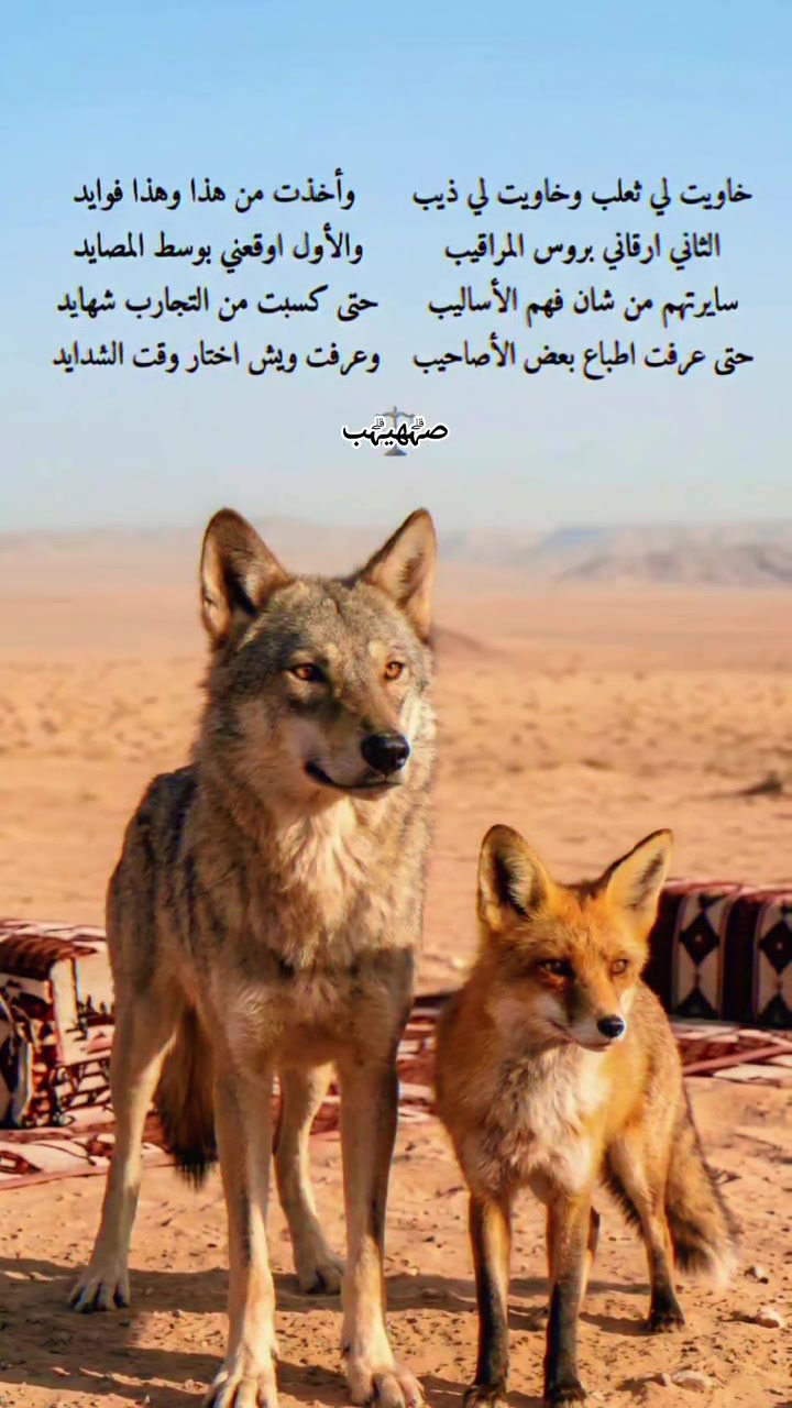 @꧂صہۗہۗهہۗيہۗہۗب الہۗمہۗصہۗري