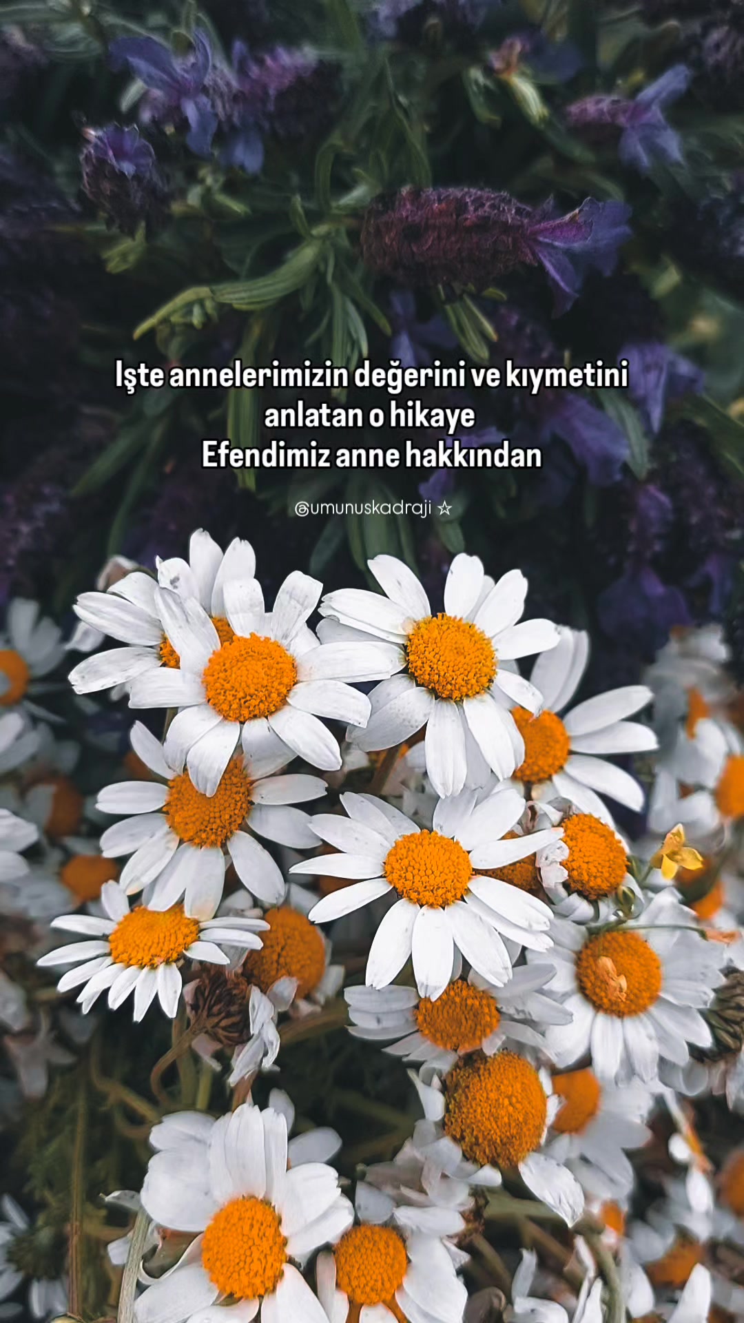 @ümünüş'ün kadrajı