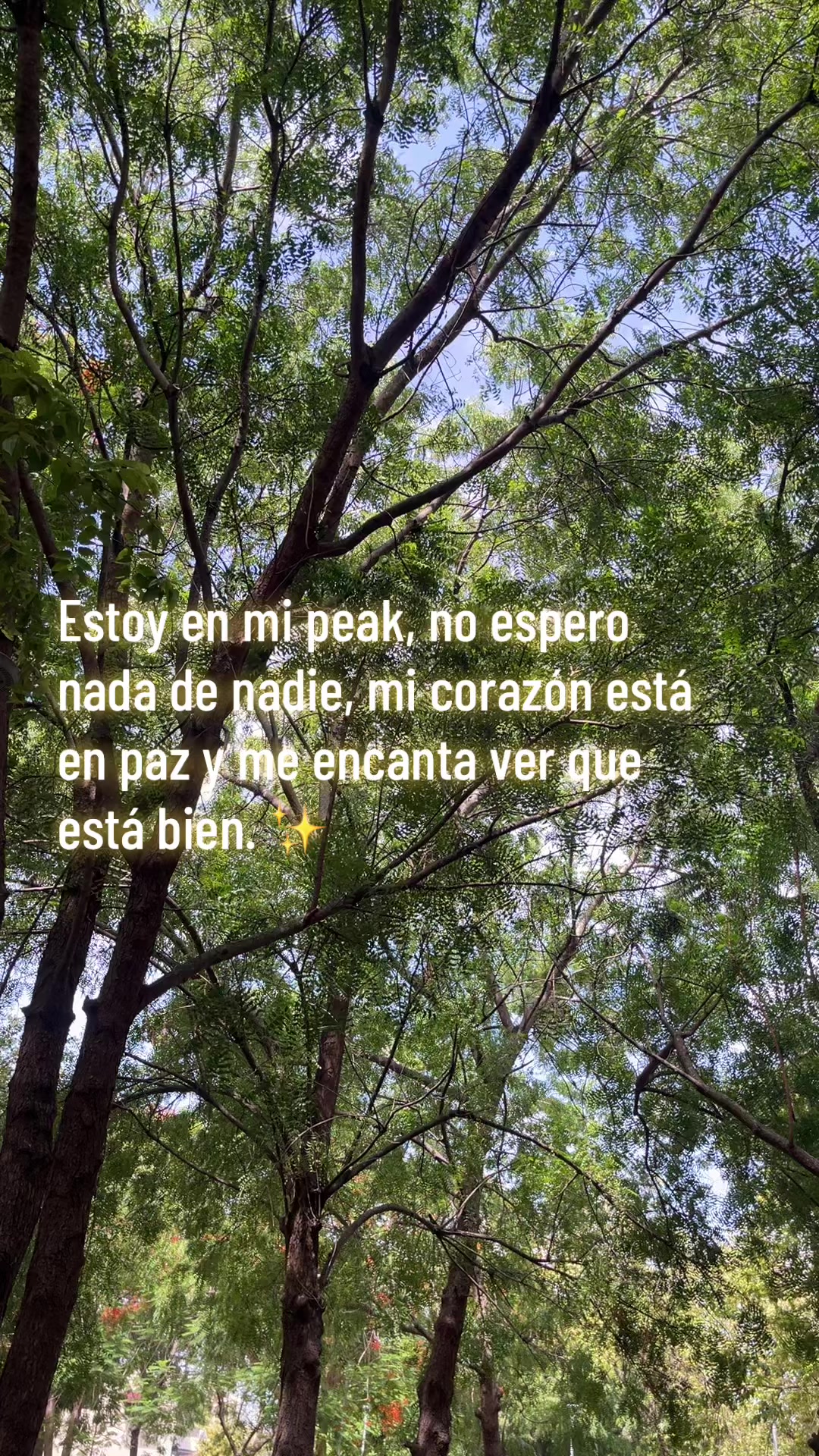 @Alta.Durán