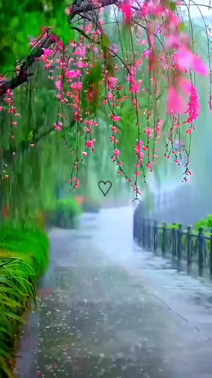 @nancybruce86