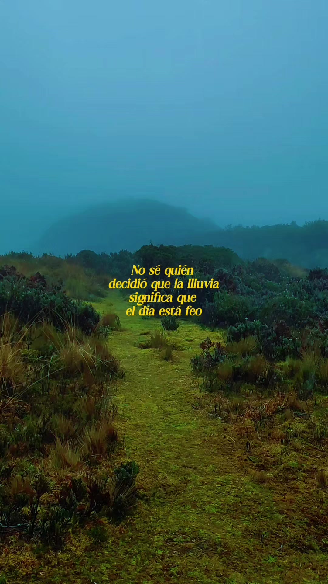 @Willian Yungan