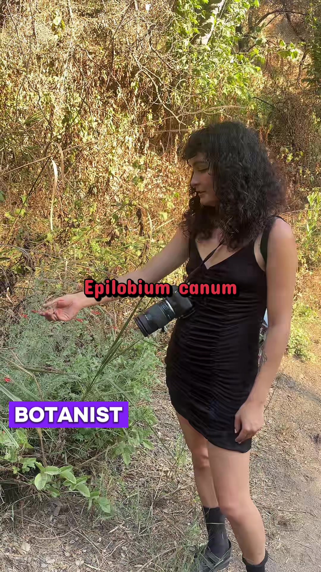 @e_arth_girl
