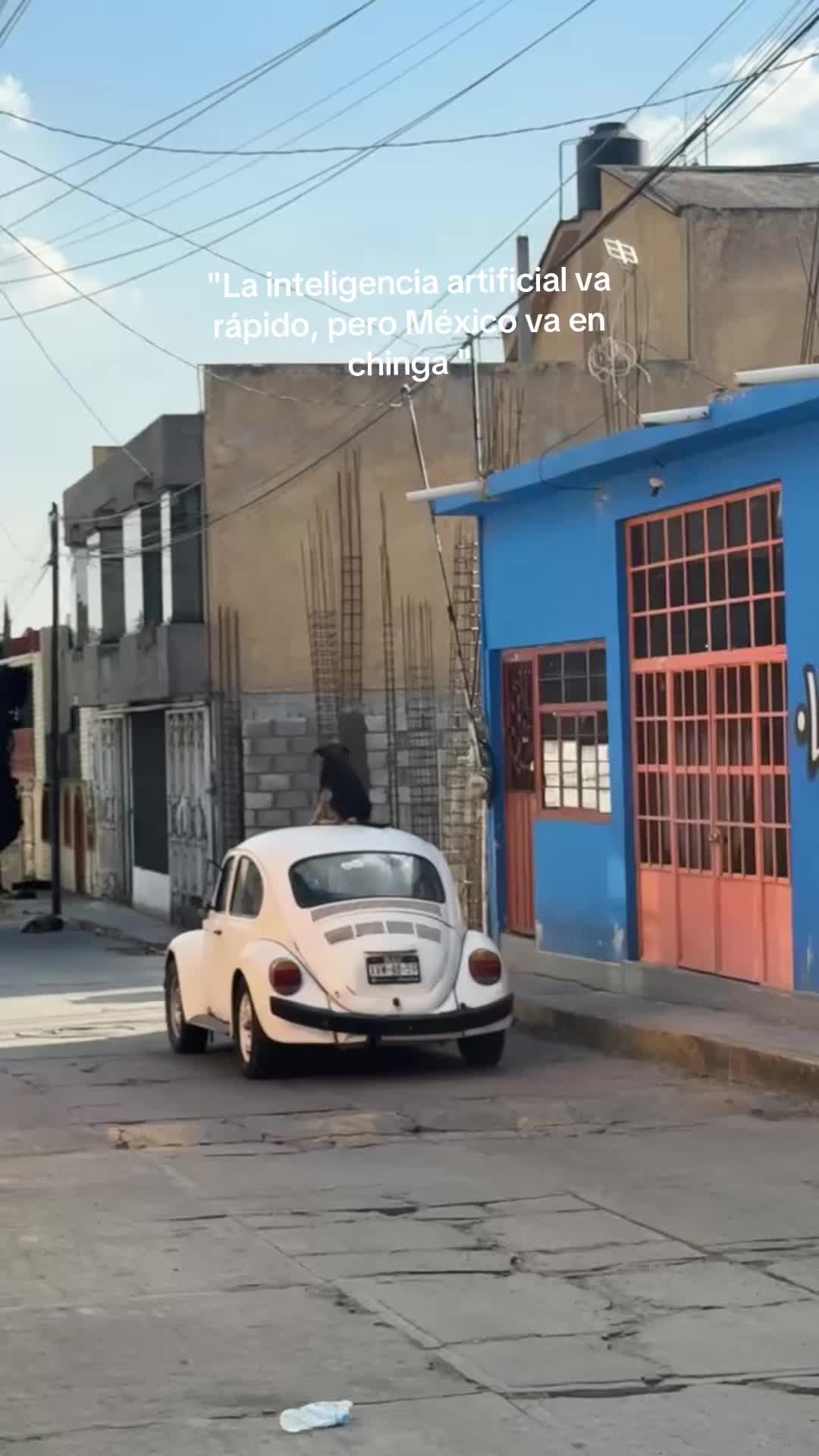 @Marleny Diaz 🌺