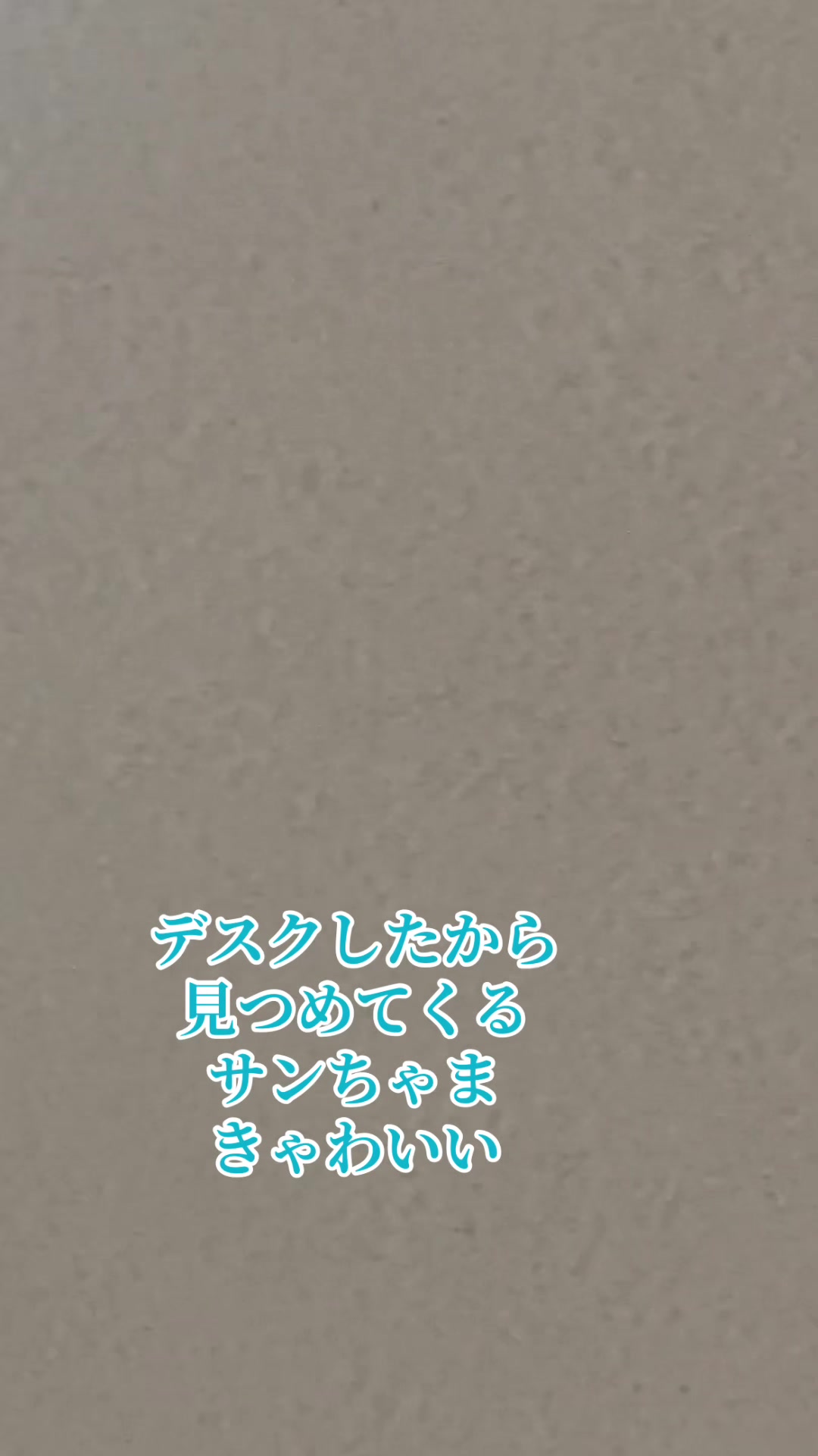 @サン☀️とムーン🌙