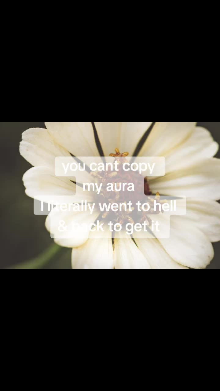 @foxandfernfilmco