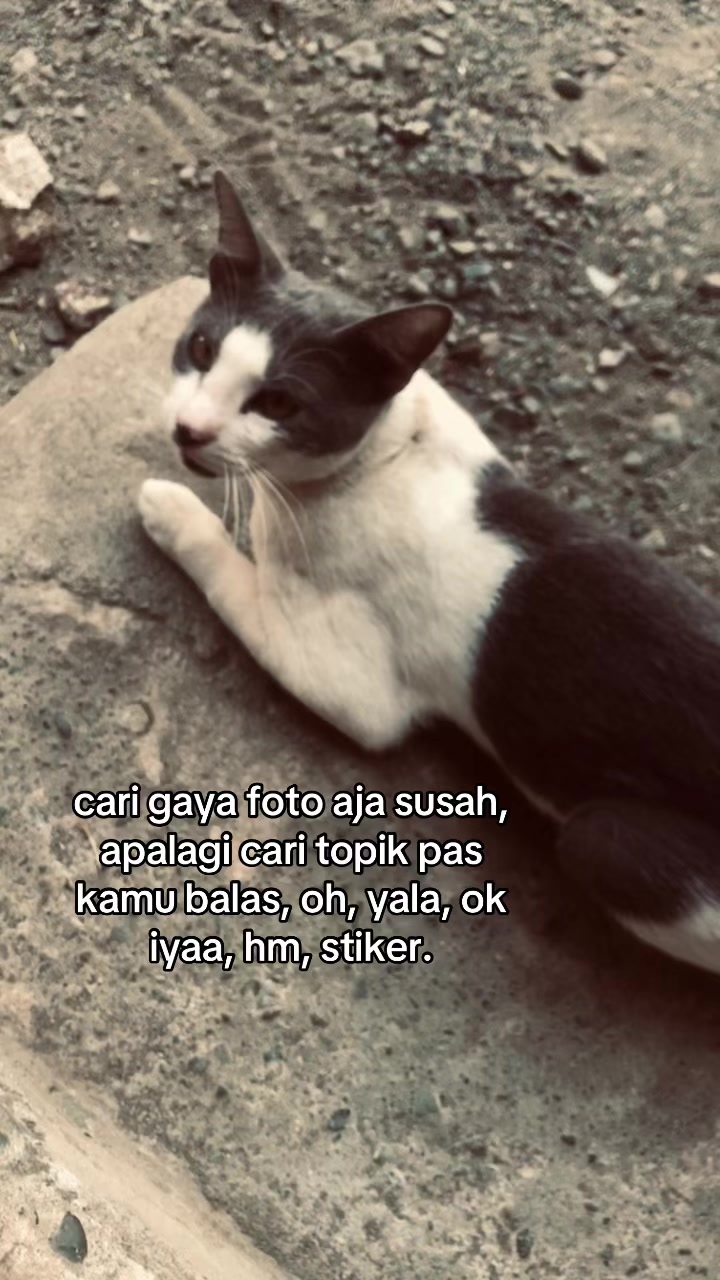 @fikarr