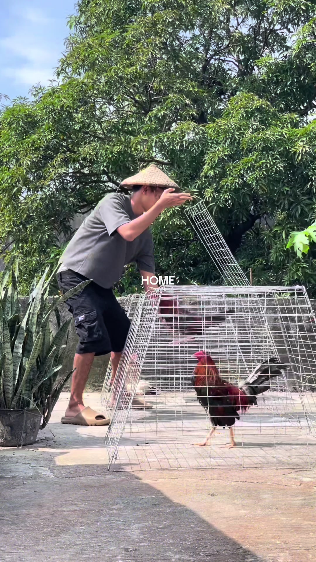 @K&C Farm
