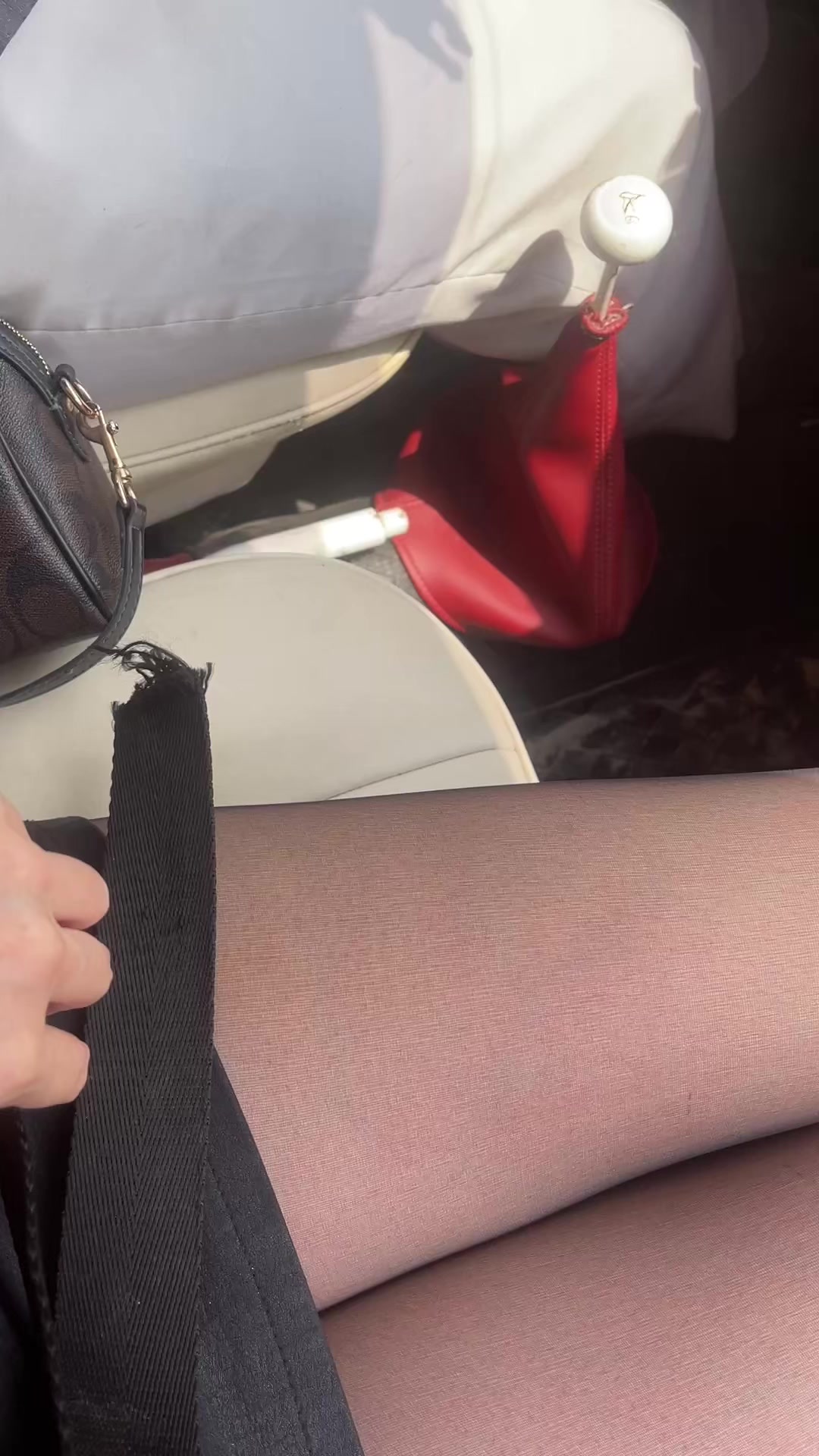 @tinaruan1619