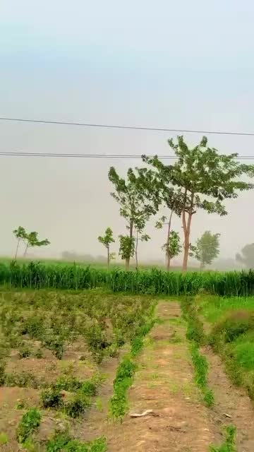 @Irtaza 267