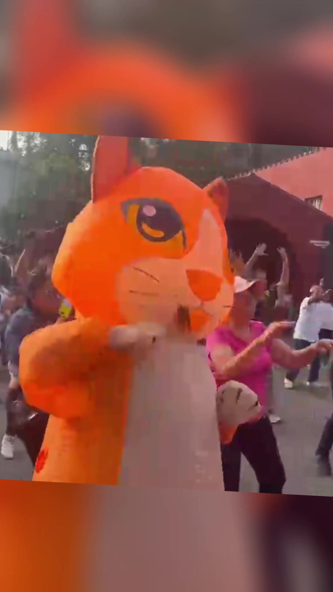 @CIJ Xalapa