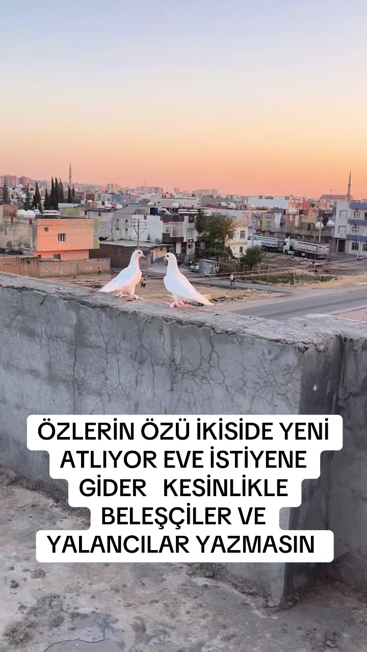 @47 argeş