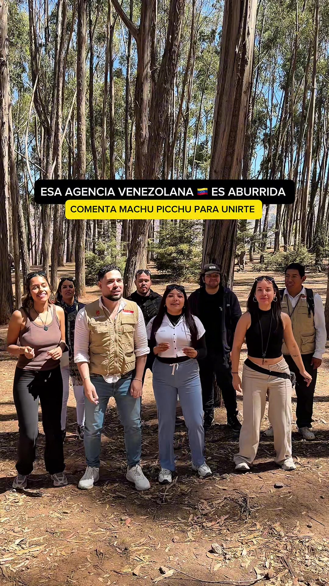 @Viajerillo