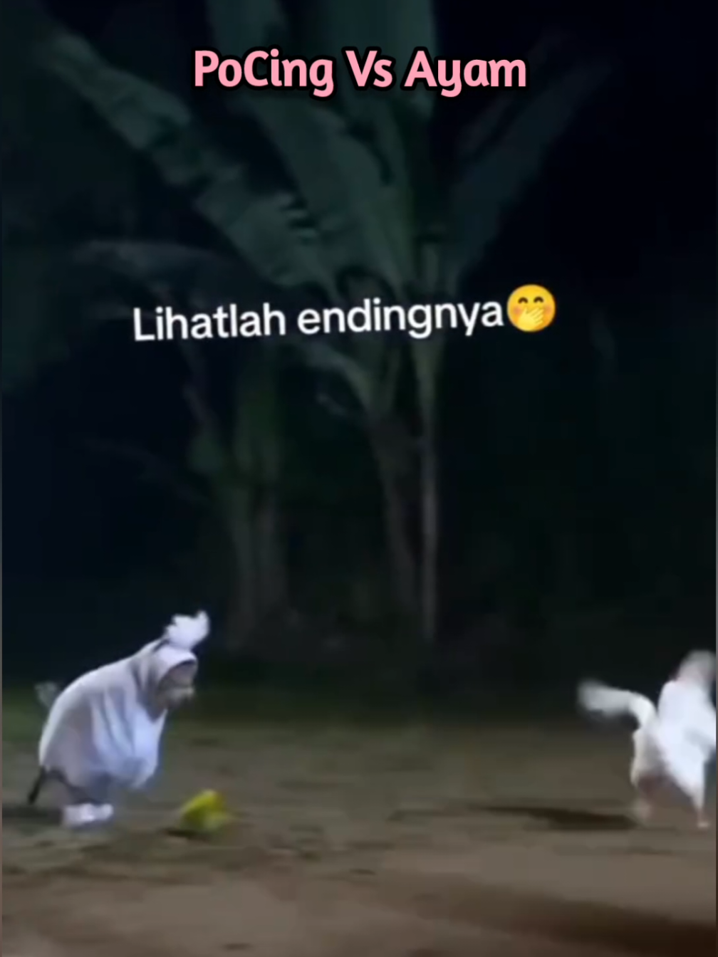 @Suasana Kelabu
