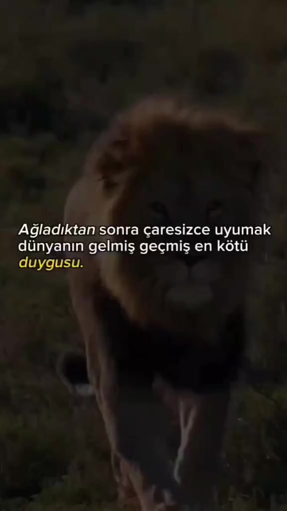 @Serkoficall