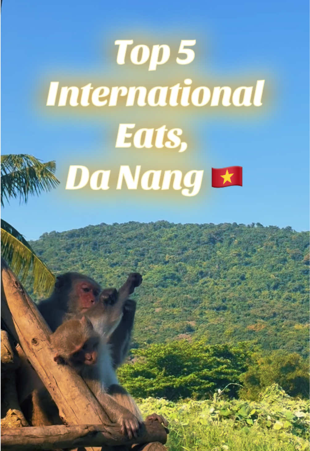 @Americans in Vietnam | A&H